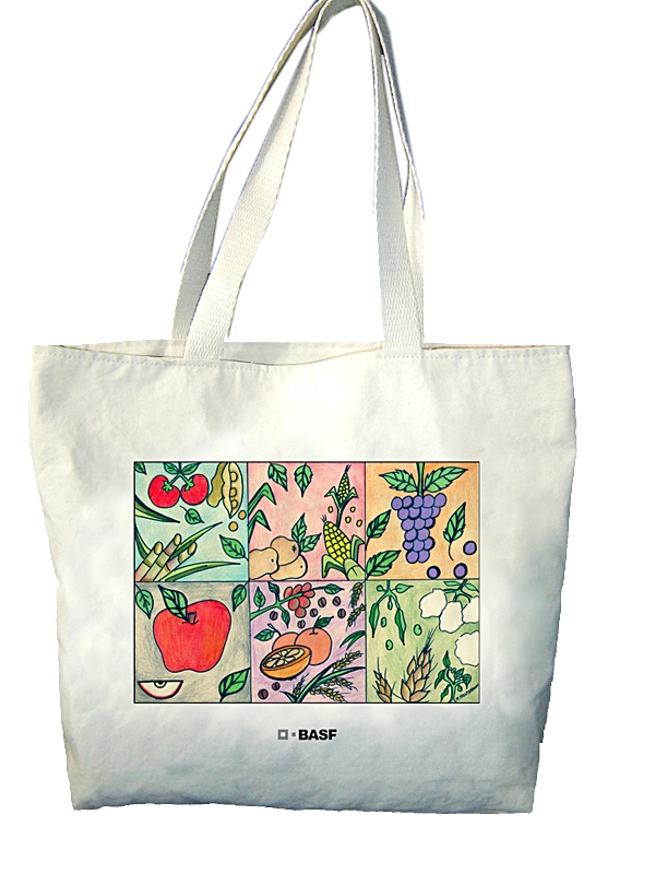 Sacola Ecobag Personalizada Valor Cidade Jardim - Sacolinhas Personalizadas